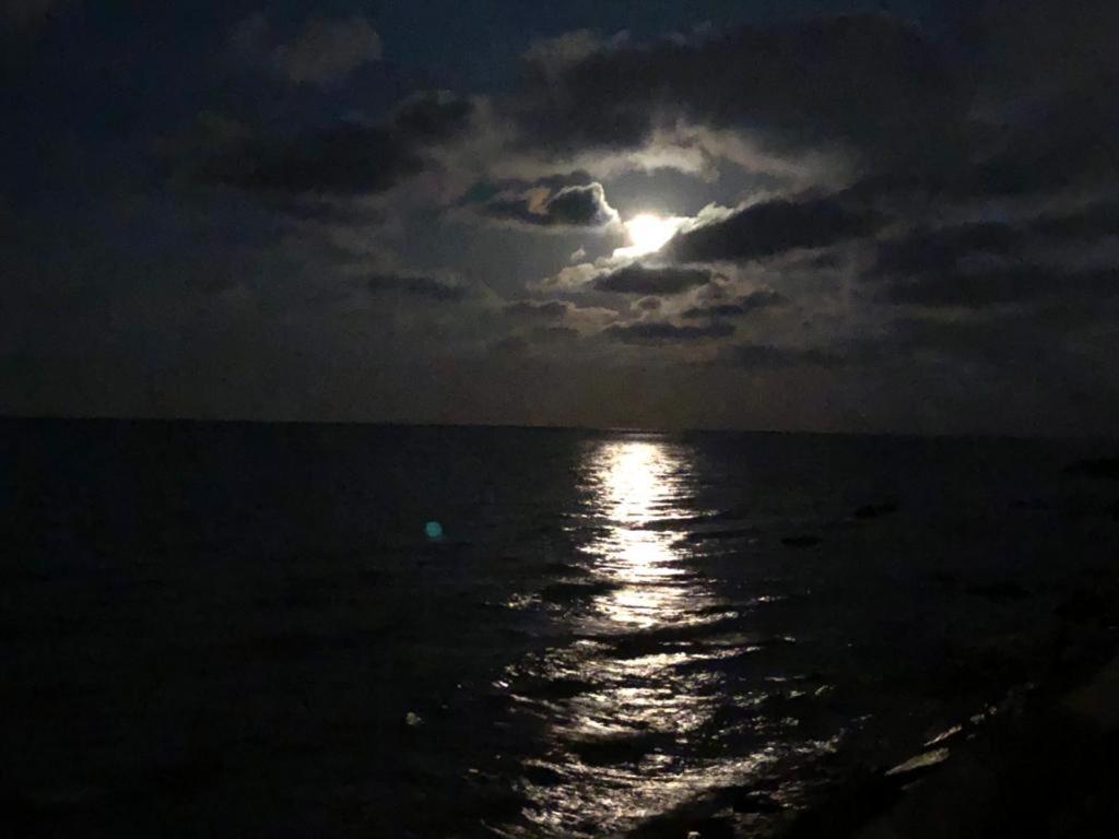 Casa Vacanze De Nittis Barletta Dış mekan fotoğraf